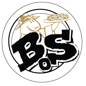 boeuf-ou-salade-logo